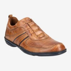 Lloyd Art.  BURTON - Brown