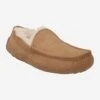 Ugg Art.  1101110-CHE ASCOT - Brown