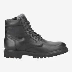 Lloyd Art. 23-561-10 DAVID ANDOR - Black