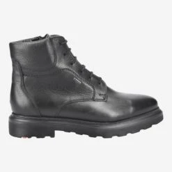 Lloyd Art. 23-531-00 VINE DANILO -