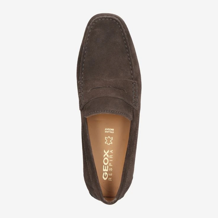 Geox Art. KOSMOPOLIS - Brown 5 Geox Art. KOSMOPOLIS - Brown – Bild 5