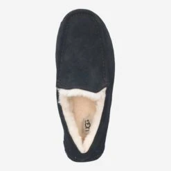 Ugg Art.  ASCOT - Black -Schuhe Lüke Shop top 1450060005