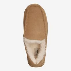 Ugg Art.  1101110-CHE ASCOT - Brown -Schuhe Lüke Shop top 1453060017