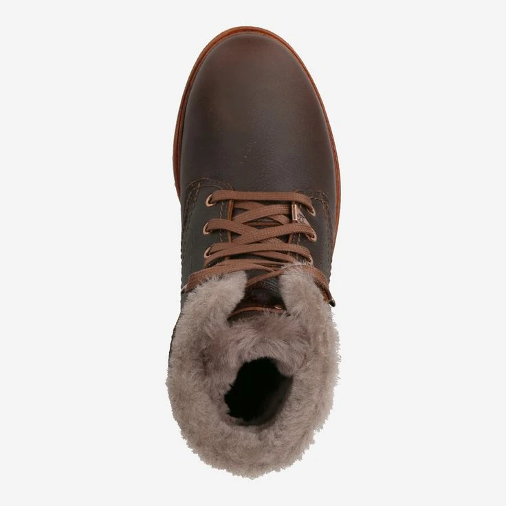 Panama Jack Art. P03 Aviator Igloo - Brown 5 Panama Jack Art. P03 Aviator Igloo - Brown – Bild 5